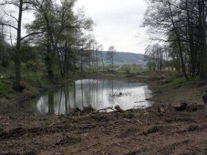 Beim Weier 15.4.2012