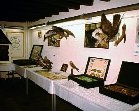 Ausstellung Wirtgensschlass