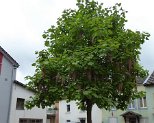 Diekirch 21.6.2016 012