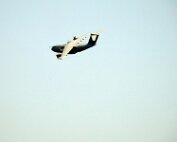A400M Training 12.7.2025 0007