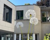 Diekirch 2.7.2025 0006