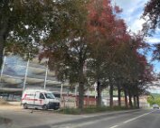 Diekirch 21.5.2025 0028
